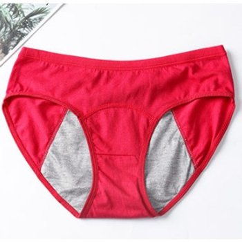 Chormien Menstrual Briefs in Raspberry