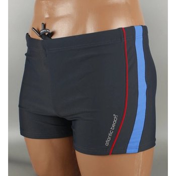 Men's Atlantic beach Swim Shorts Gray