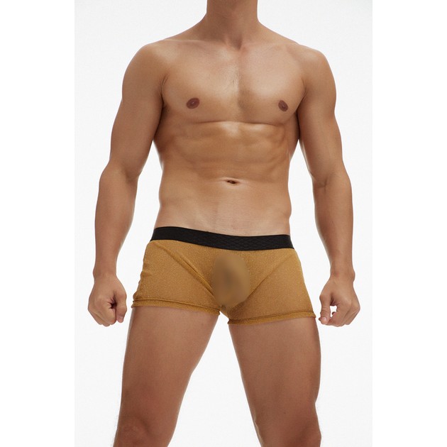 Men's Boxers Ciokicx from Sheer Mesh — Bold Seduction
