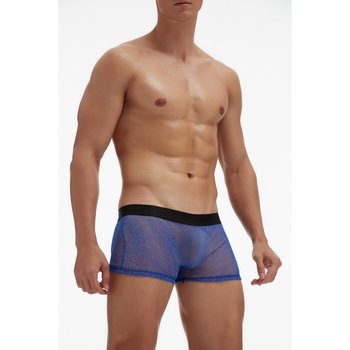 Men's Ciokicx Boxers in Sheer Mesh — Bold Style