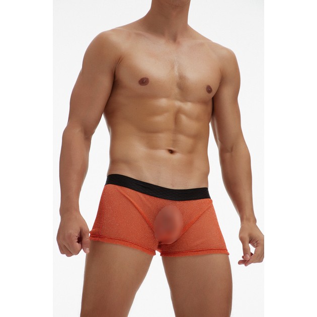 Herren Ciokicx Boxers aus transparenter Netzware — kühn und verführerisch