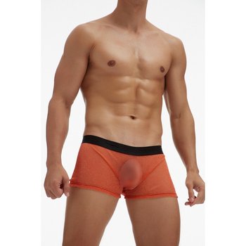 Men's Ciokicx Boxers in Sheer Mesh — Bold Temptation