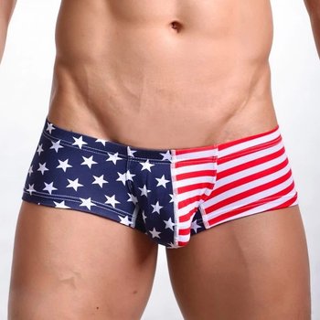 Men's Hipster Underwear with USA Flag Print — Stylish Choice for Confident Men